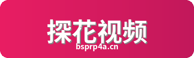探花视频